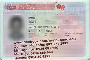 THỎA SỨC TRẢI NGHIỆM XỨ SỞ HOA ANH ĐÀO CÙNG AN PHÚ QUỐC